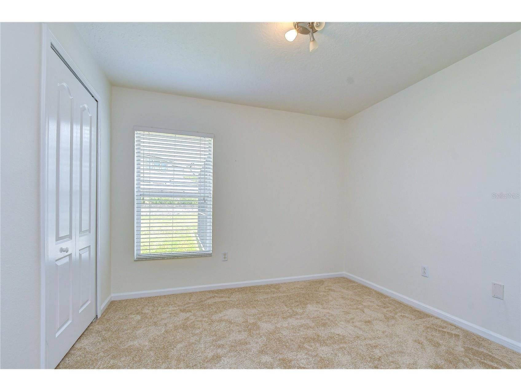 7548 Granitville Drive Wesley Chapel FL 33545 TB8523672 image35