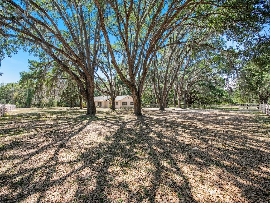 7549 Bay Pines Drive Wesley Chapel FL 33544 U8195403 image1