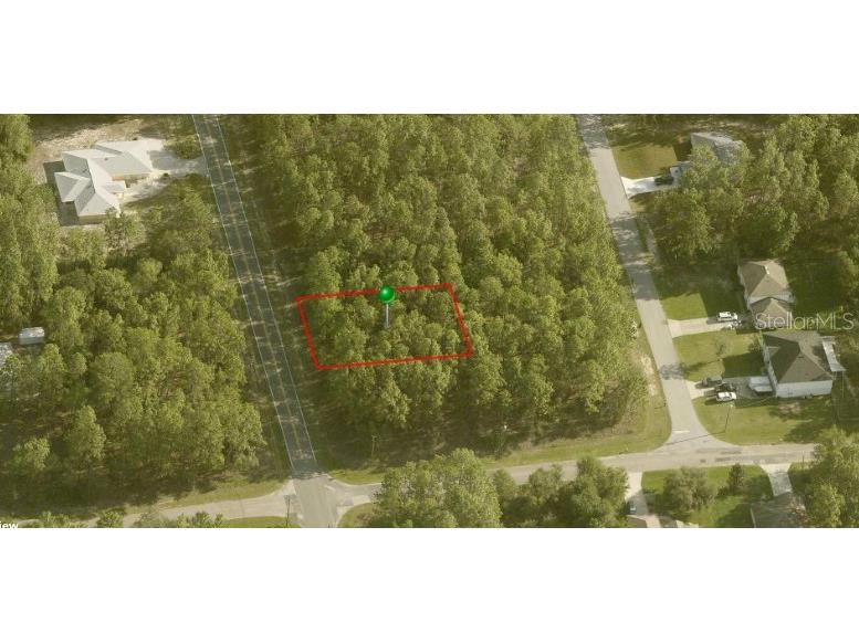 7549 N Santos Drive Citrus Springs FL 34434 OM679545 image1