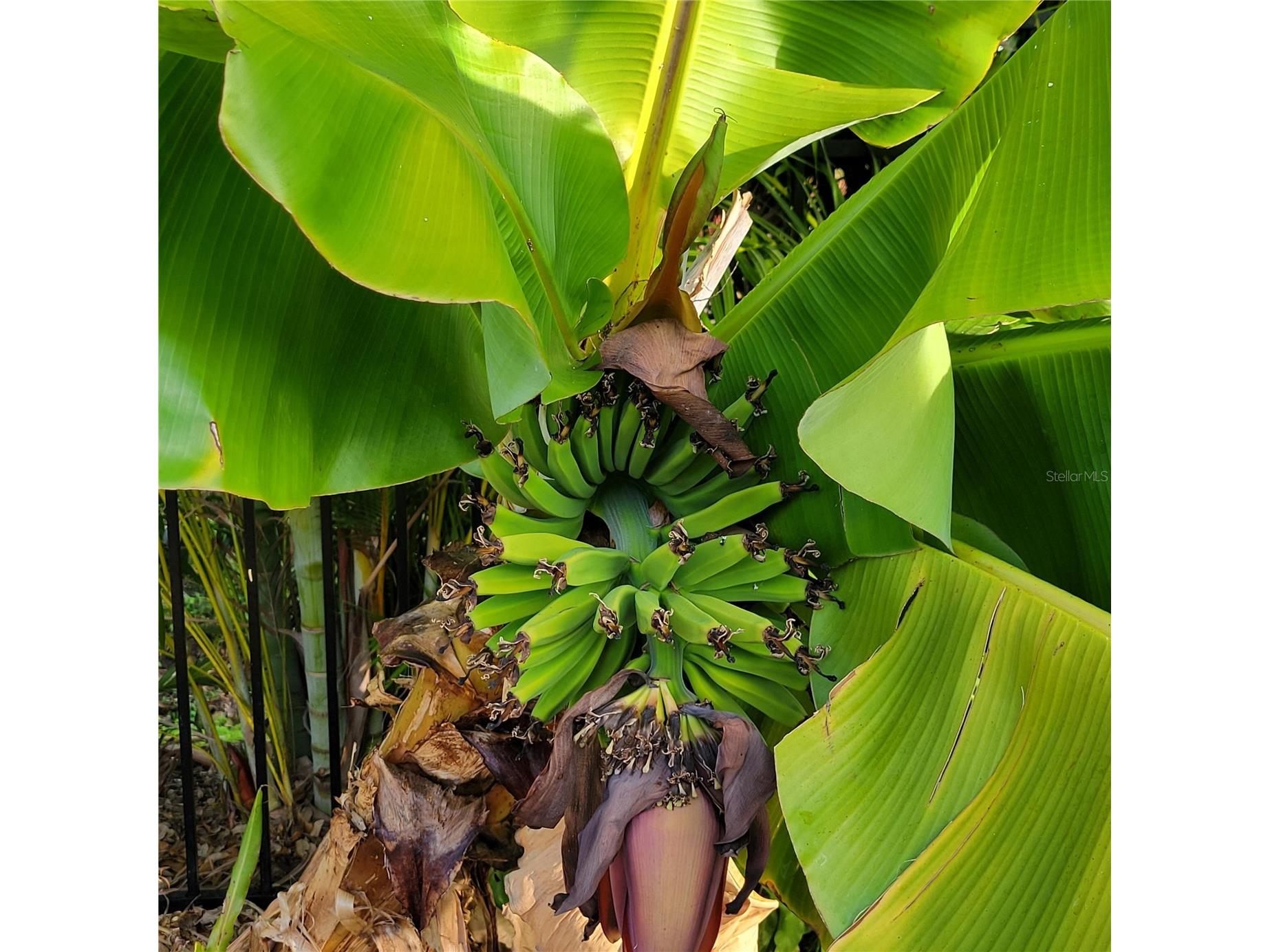 755 Kent Road Venice FL 34293 O6343728 image20