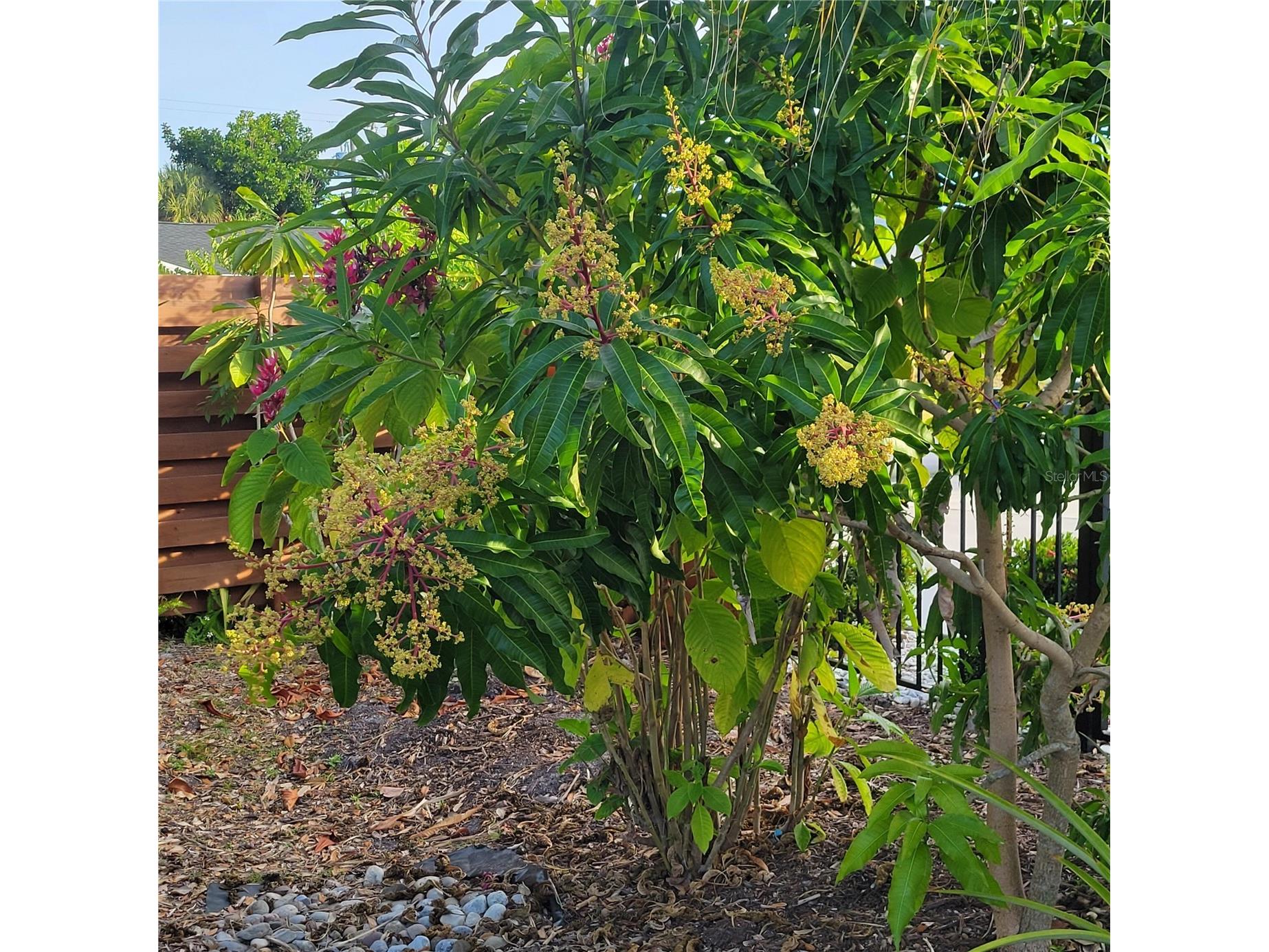 755 Kent Road Venice FL 34293 O6343728 image21