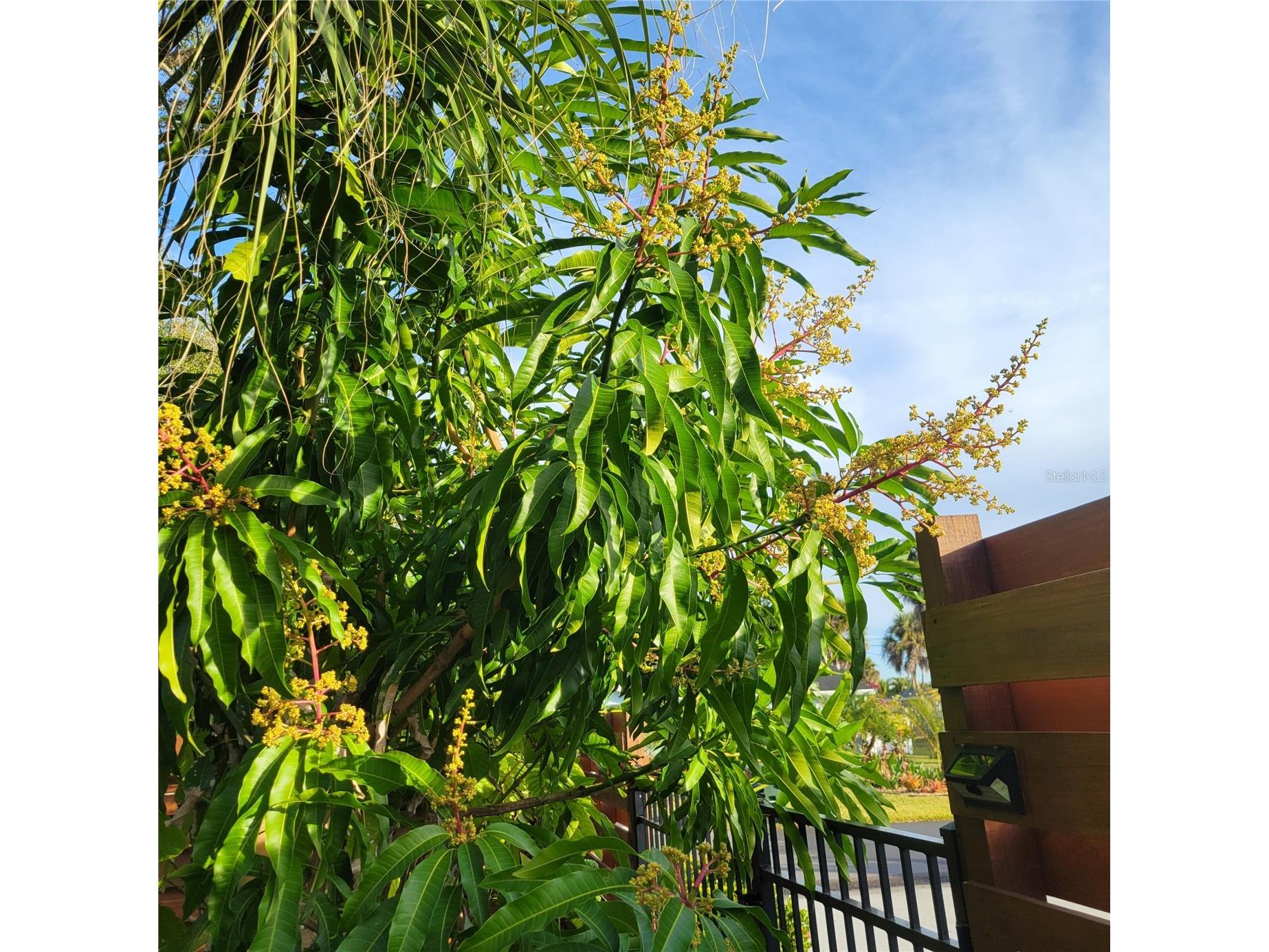 755 Kent Road Venice FL 34293 O6343728 image22