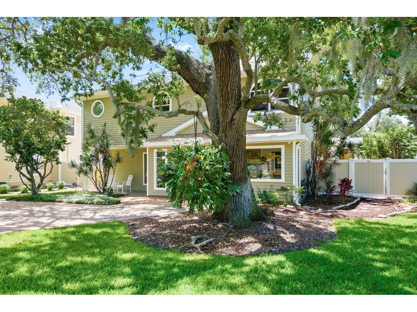 755 San Christopher Drive Dunedin FL 34698 TB8511556 image4