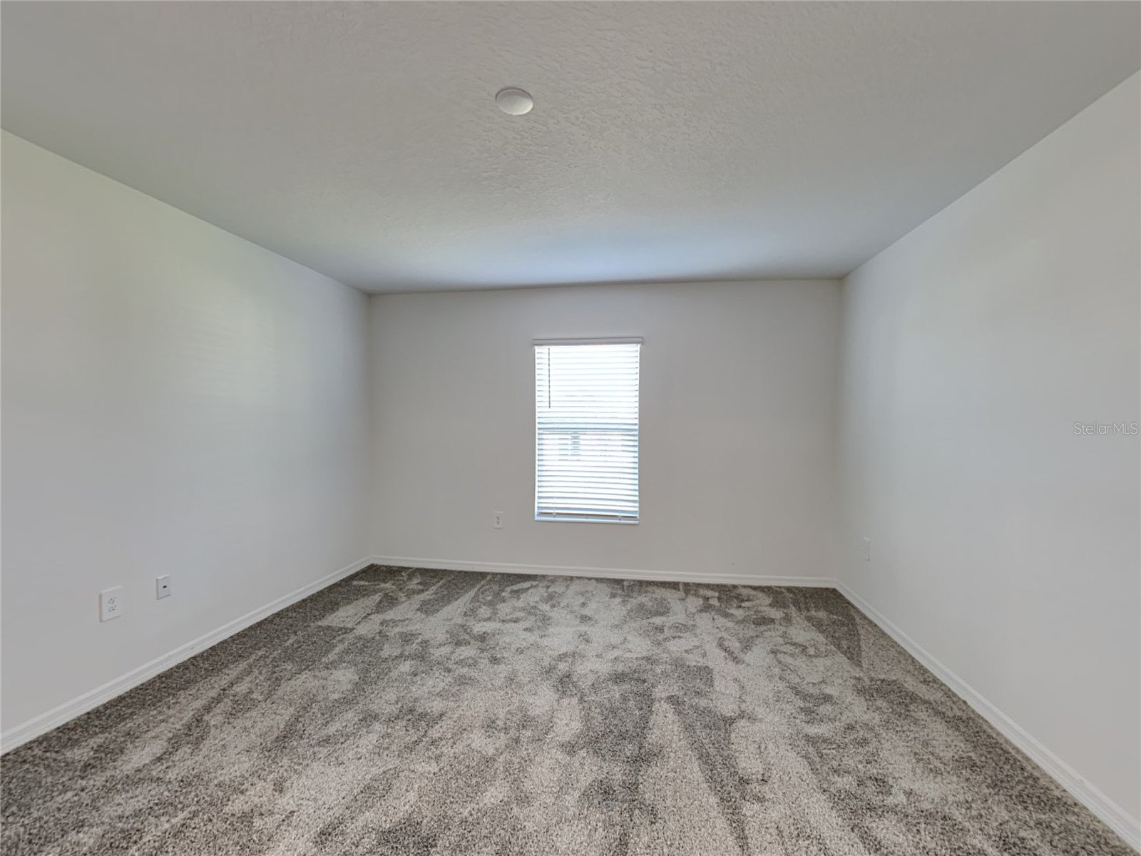 755 Staffora Street Haines City FL 33844 O6394487 image8