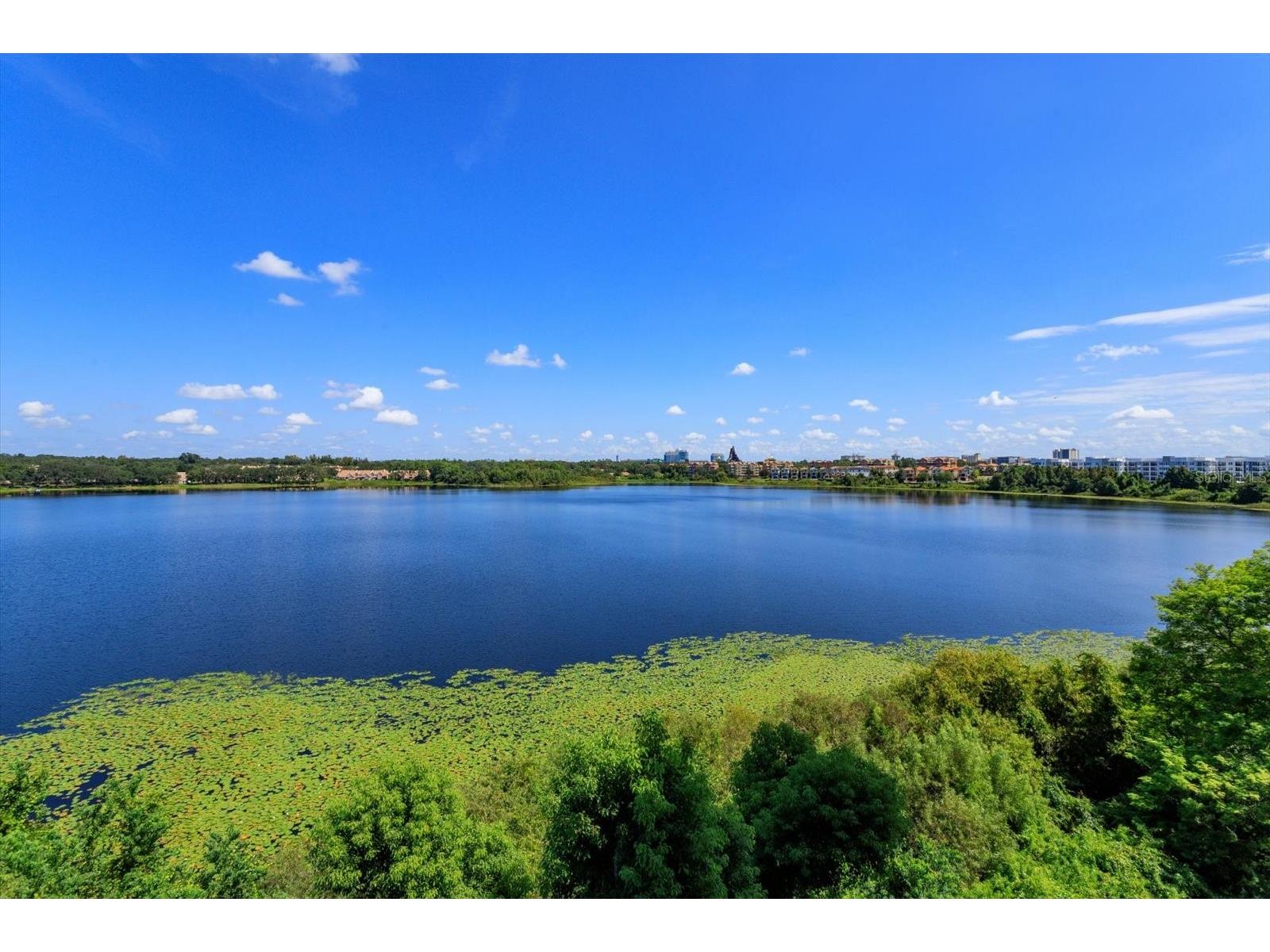 7550 Hinson Street #6A Orlando FL 32819 - Spring Lake O6413270 image31