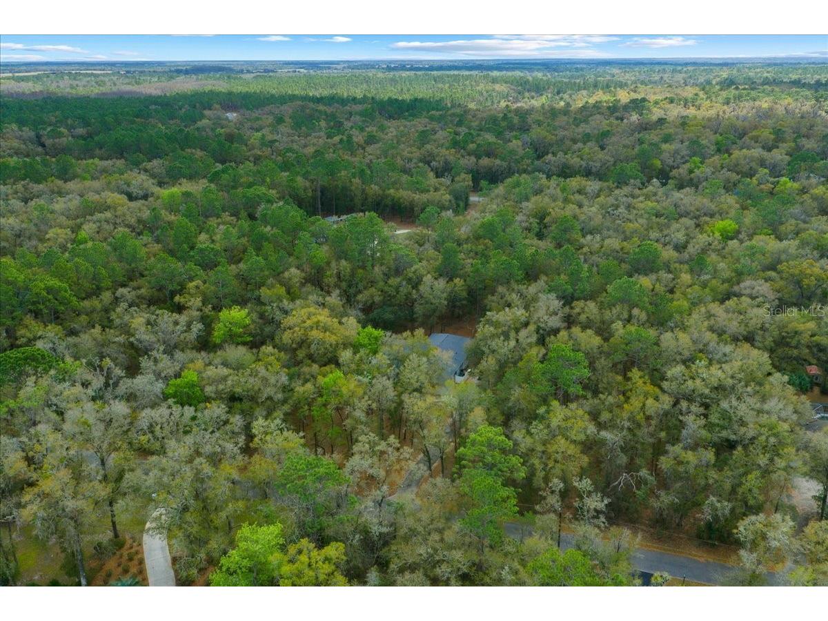7550 SW 185th Circle Dunnellon FL 34432 OM720778 image45