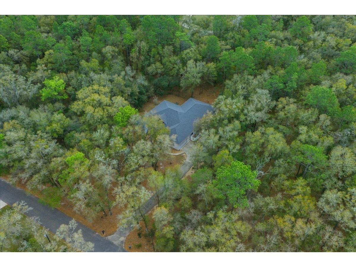 7550 SW 185th Circle Dunnellon FL 34432 OM720778 image46