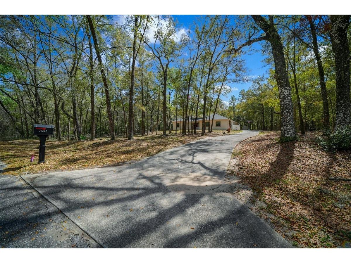 7550 SW 185th Circle Dunnellon FL 34432 OM720778 image50