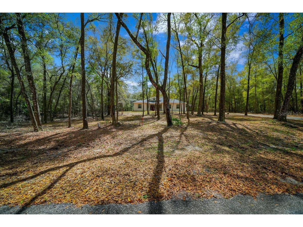 7550 SW 185th Circle Dunnellon FL 34432 OM720778 image51