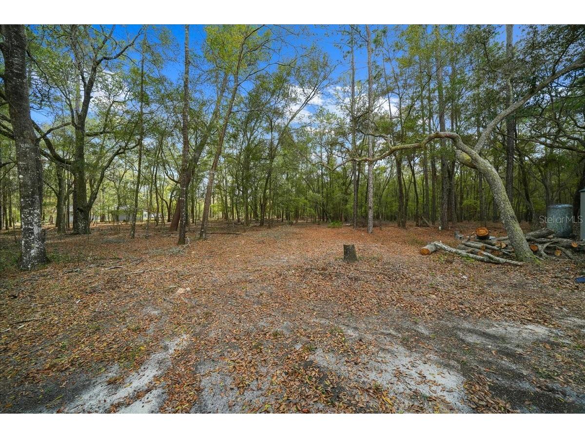 7550 SW 185th Circle Dunnellon FL 34432 OM720778 image59