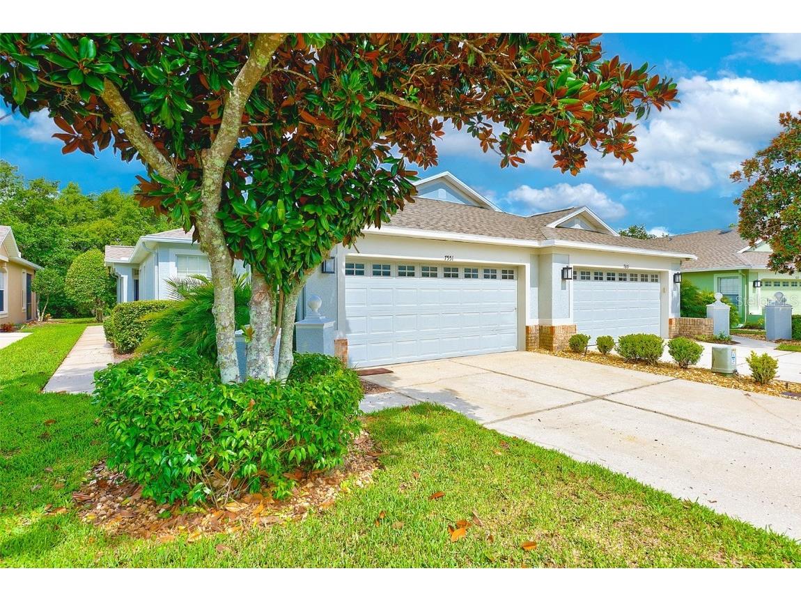 7551 Helen White Lane Land O Lakes FL 34637 U8246875 image1