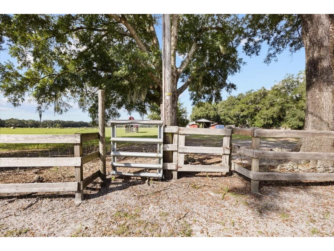 7551 NW 115th Street Chiefland FL 32626 GC534468 image39