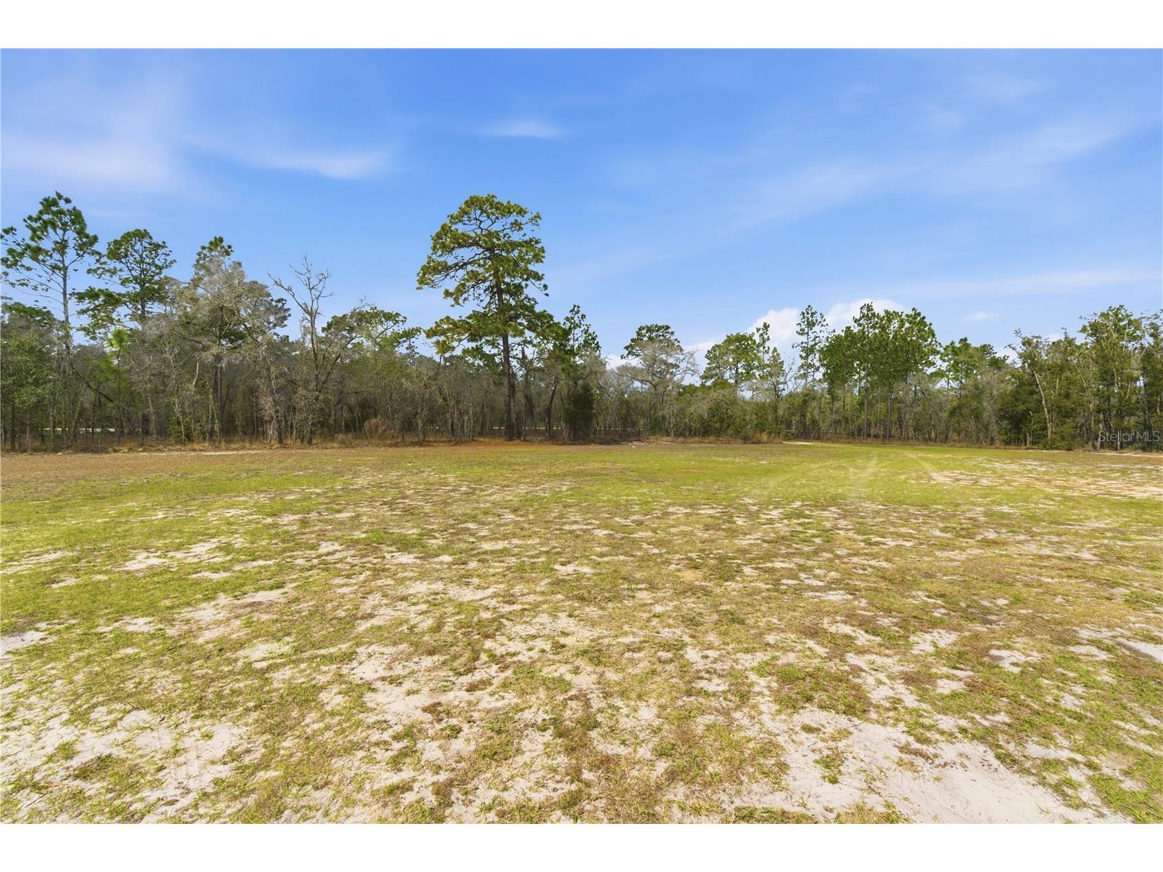 7551 SE 131st Avenue Morriston FL 32668 OM718851 image31
