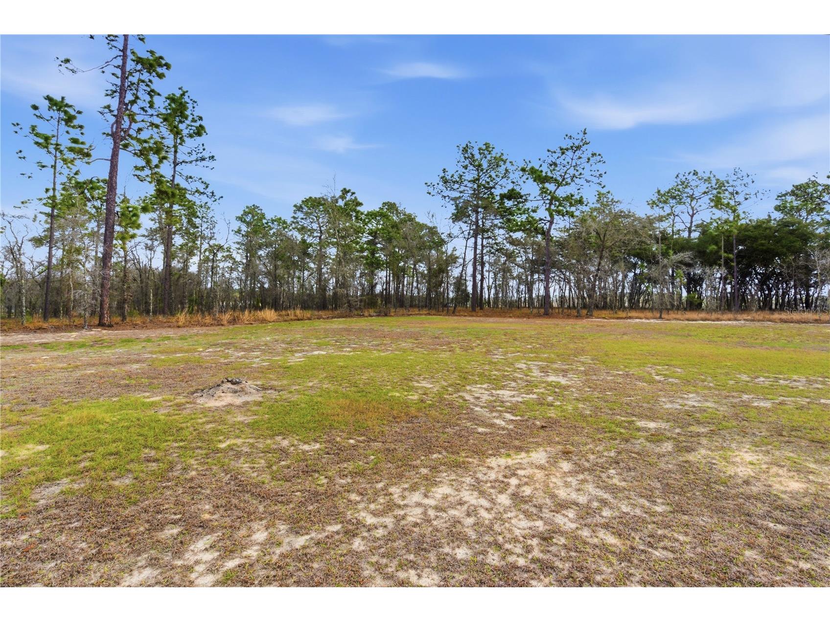 7551 SE 131st Avenue Morriston FL 32668 OM718851 image32