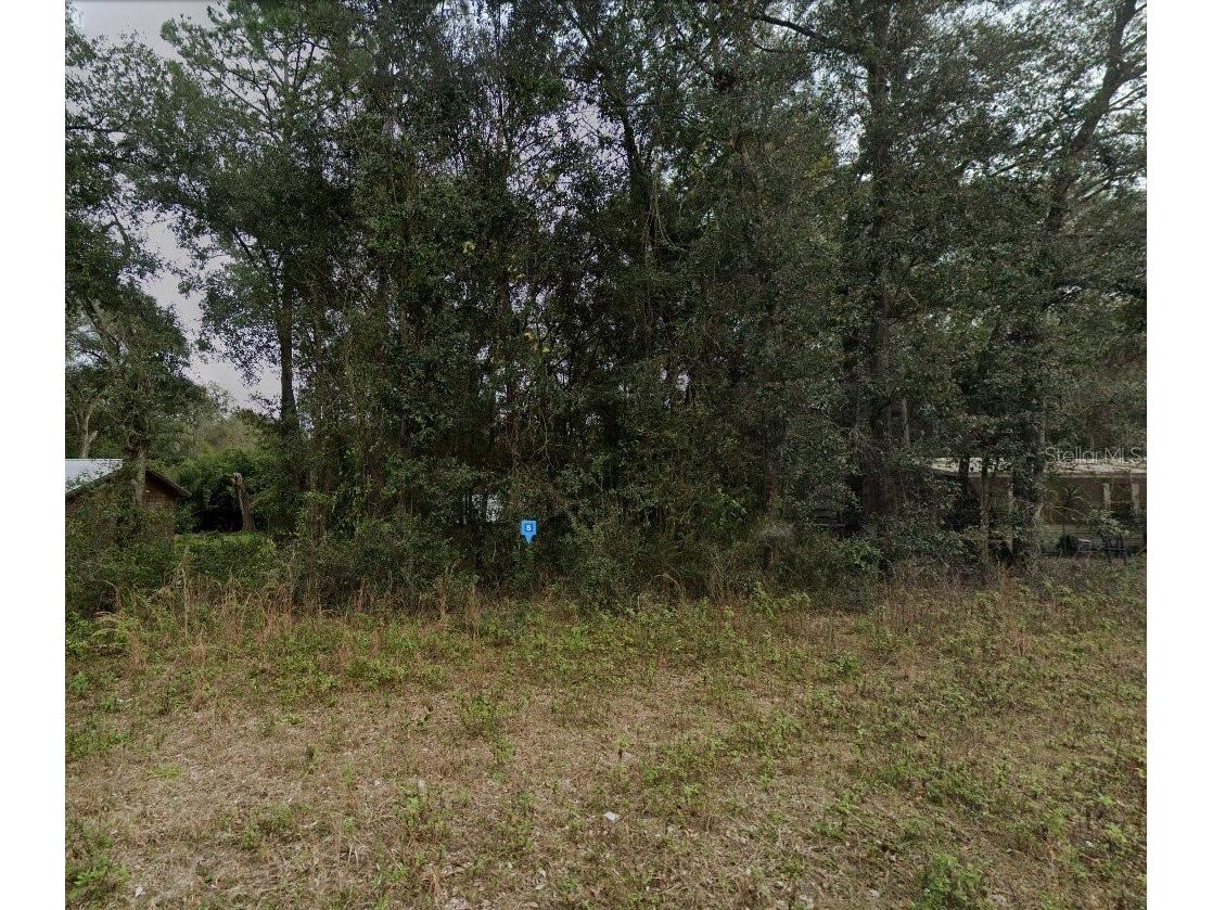 7552 Dogwood Circle Keystone Heights FL 32656 A4677544 image2