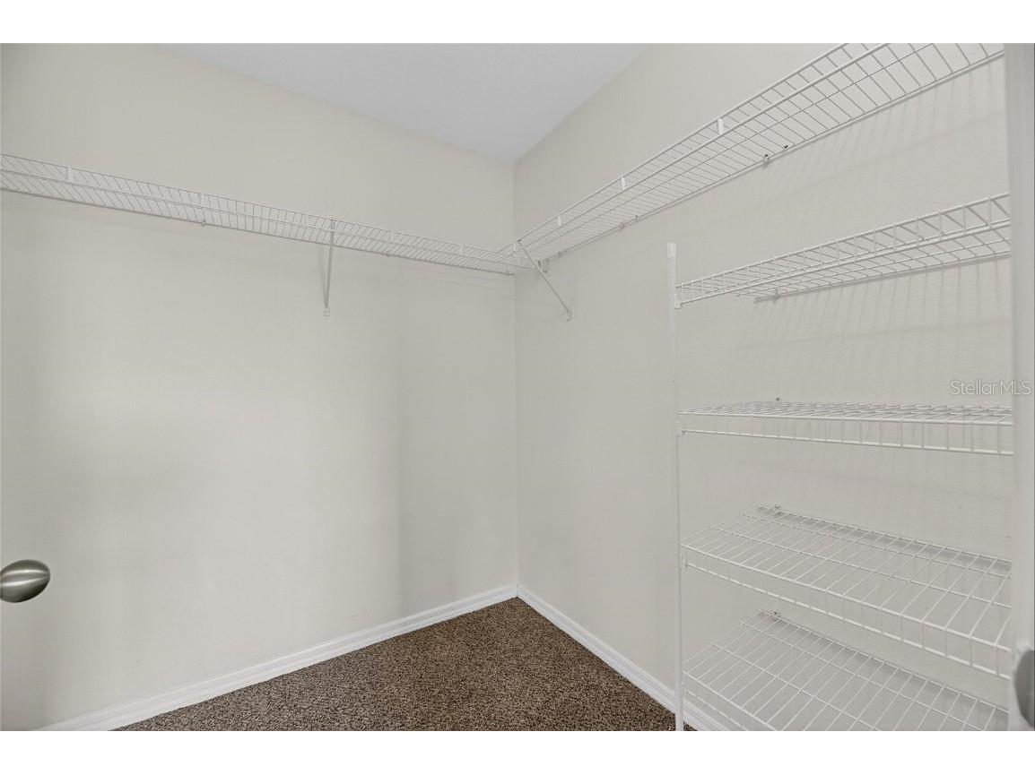 7552 Maroon Peak Drive Ruskin FL 33573 TB8425658 image44