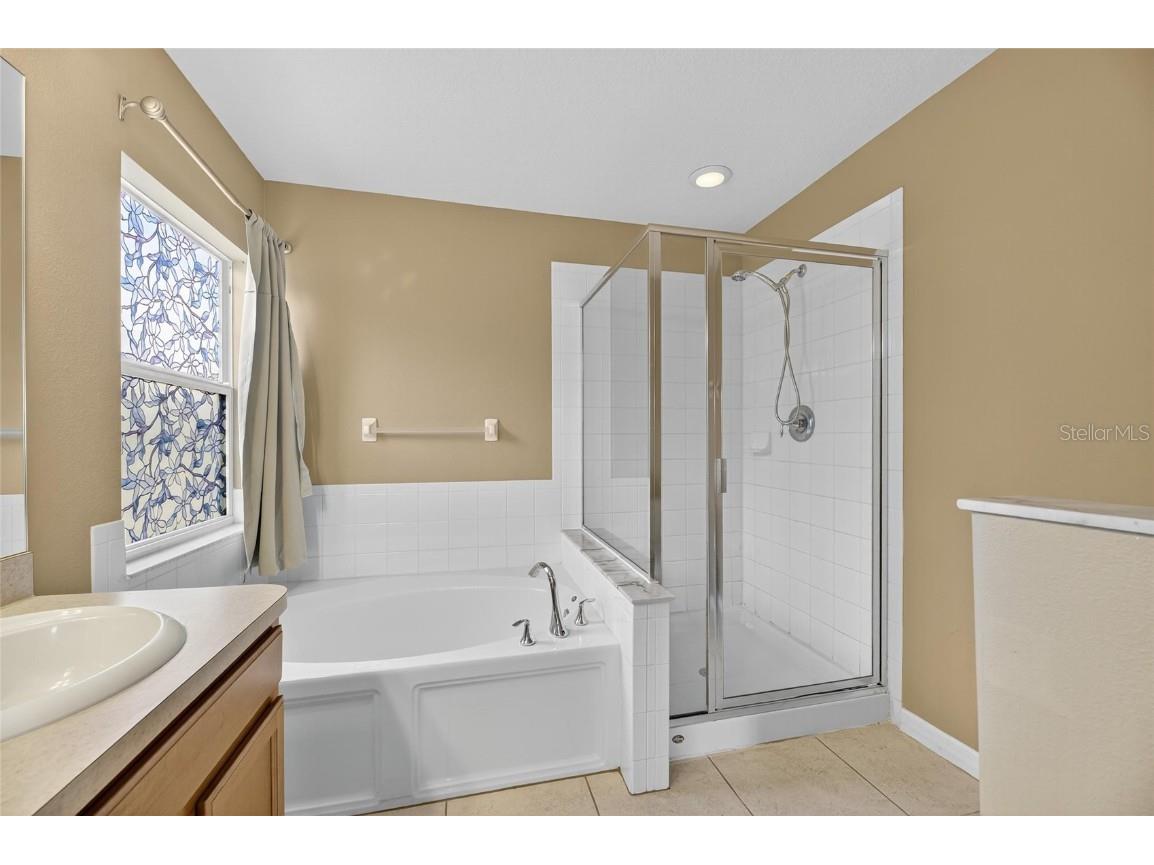 7552 Maroon Peak Drive Ruskin FL 33573 TB8425658 image46