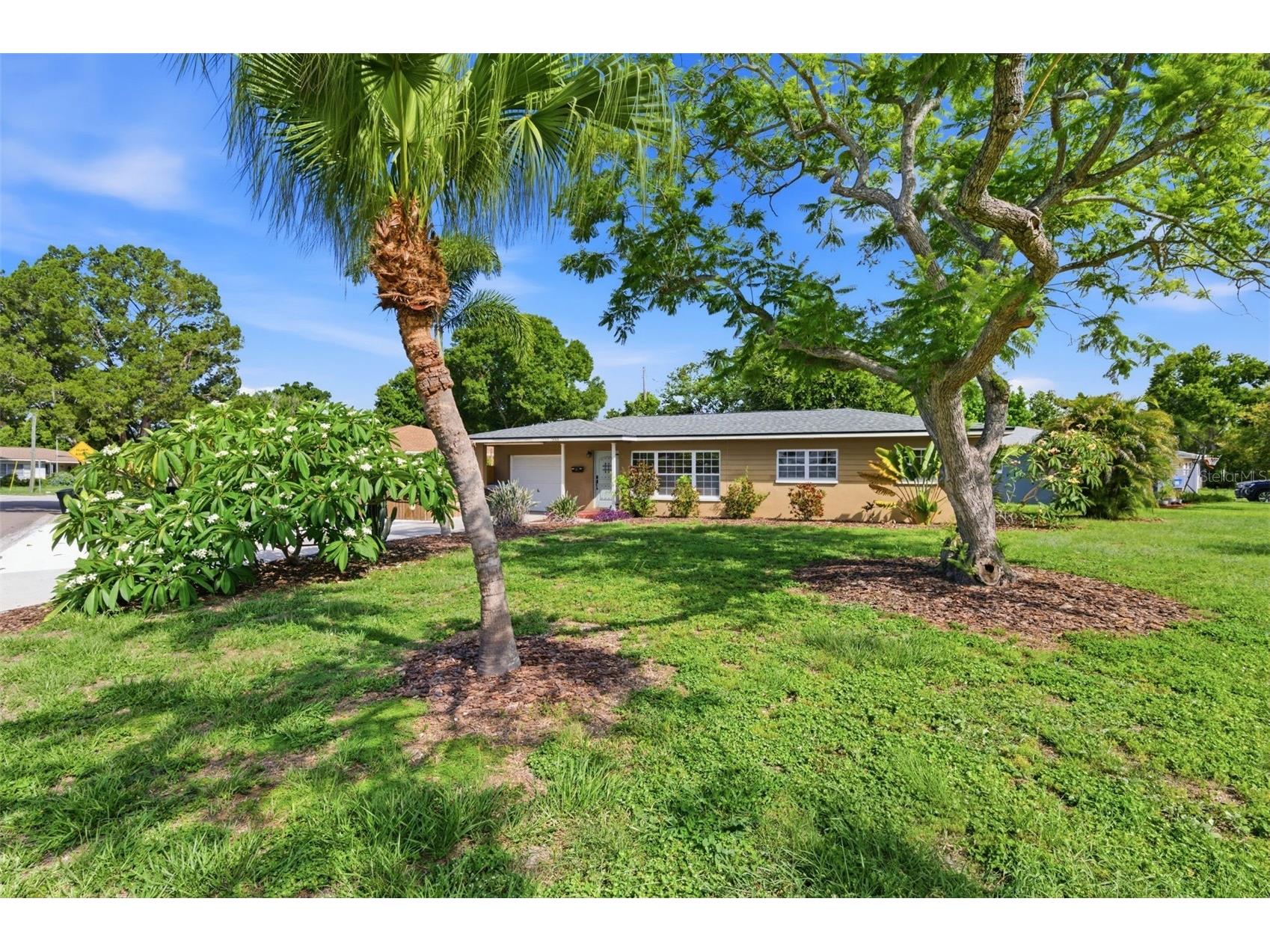 7555 19th Avenue N Saint Petersburg FL 33710 TB8516503 image2
