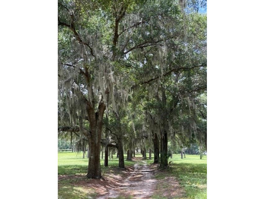 7555 SW 77th Place Ocala FL 34476 OM707268 image27