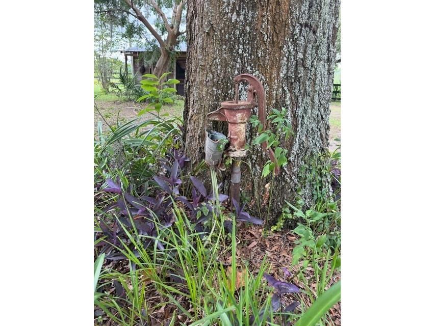 7555 SW 77th Place Ocala FL 34476 OM707268 image28