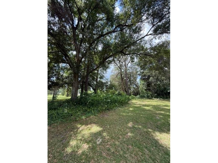 7555 SW 77th Place Ocala FL 34476 OM707268 image29