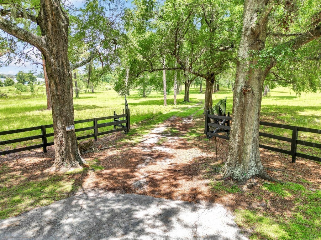 7555 SW 77th Place Ocala FL 34476 OM707268 image4