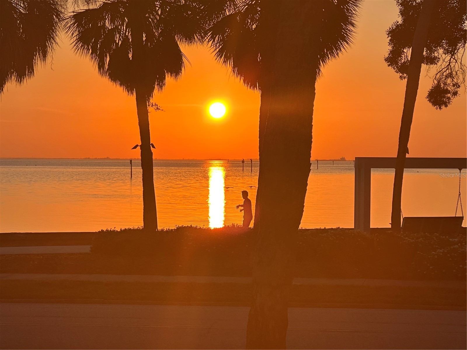 756 17th Avenue NE Saint Petersburg FL 33704 TB8488504 image46