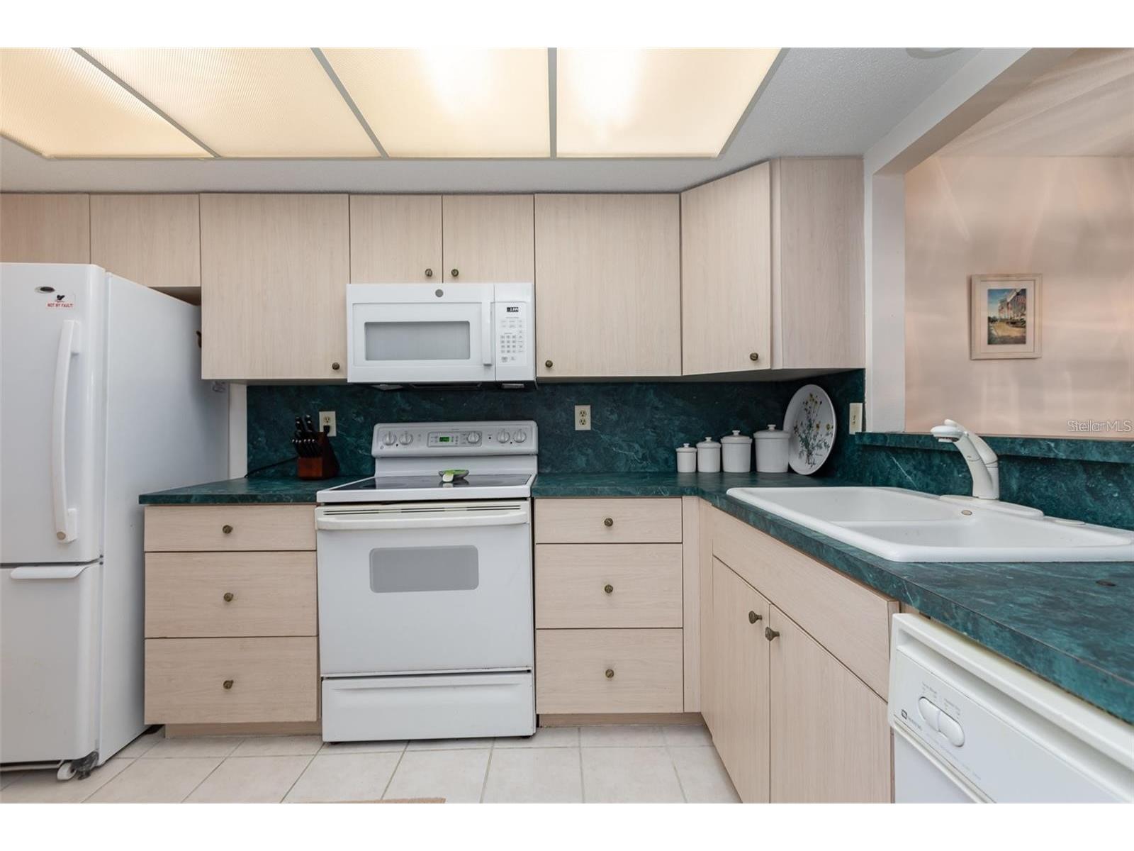 756 Avenida Estancia #162 Venice FL 34292 A4677117 image3