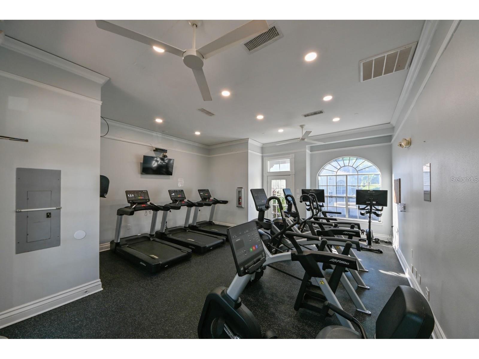 756 Coral Reef Drive Tampa FL 33602 - GARRISON CHANNEL TB8494210 image54