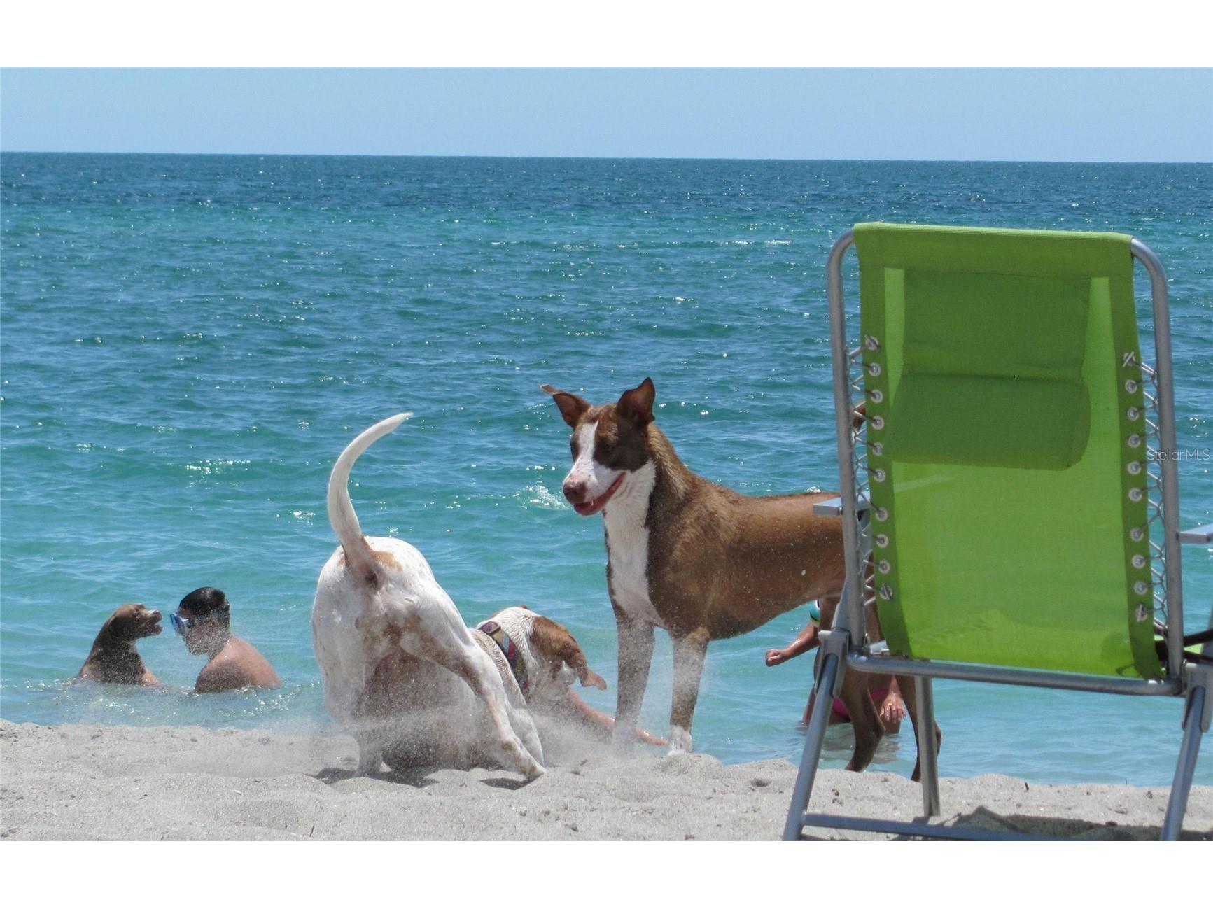 756 W Baffin Drive Venice FL 34293 A4696217 image45