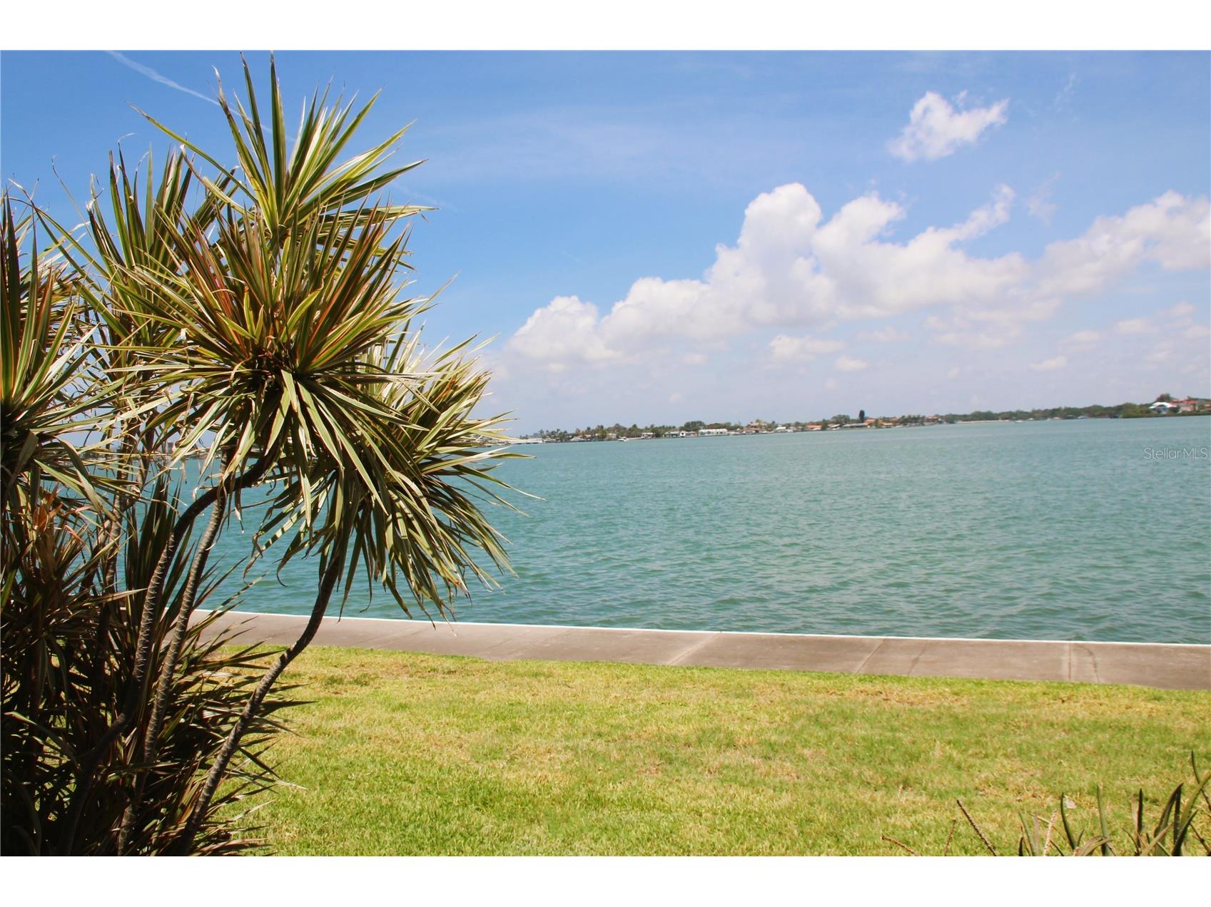 7560 Bay Island Drive S #149 South Pasadena FL 33707 TB8506052 image10