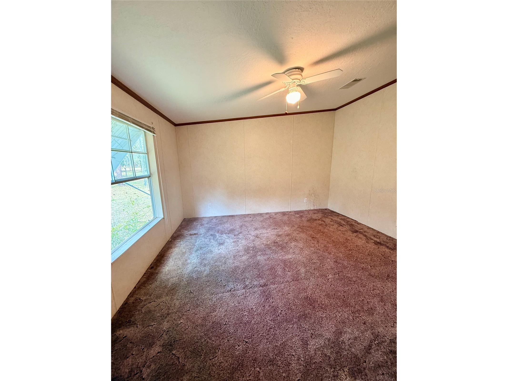 7561 SE 120th Court Morriston FL 32668 OM724829 image23