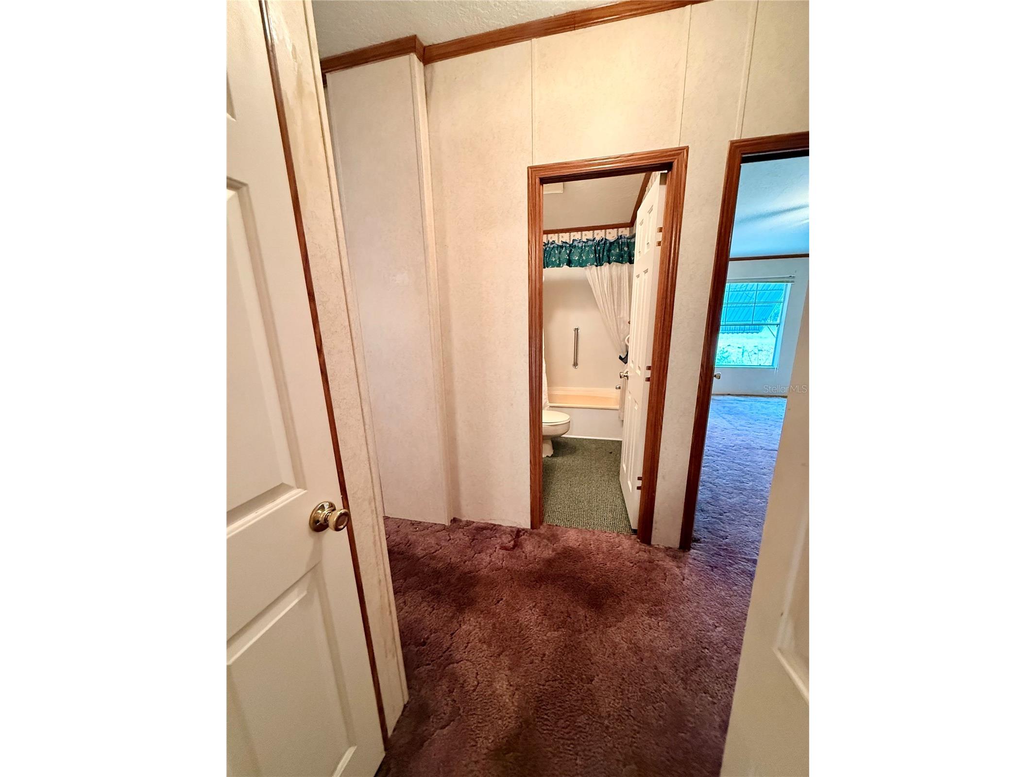 7561 SE 120th Court Morriston FL 32668 OM724829 image29
