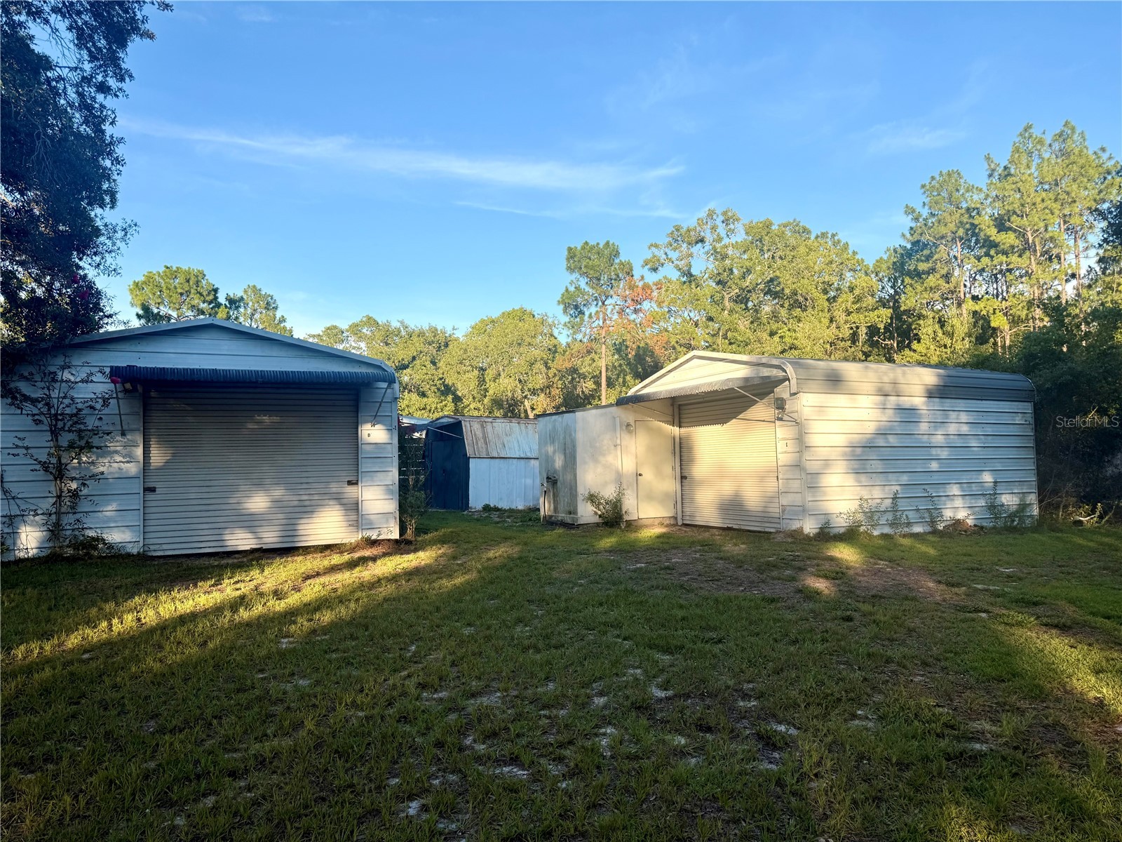 7561 SE 120th Court Morriston FL 32668 OM724829 image44