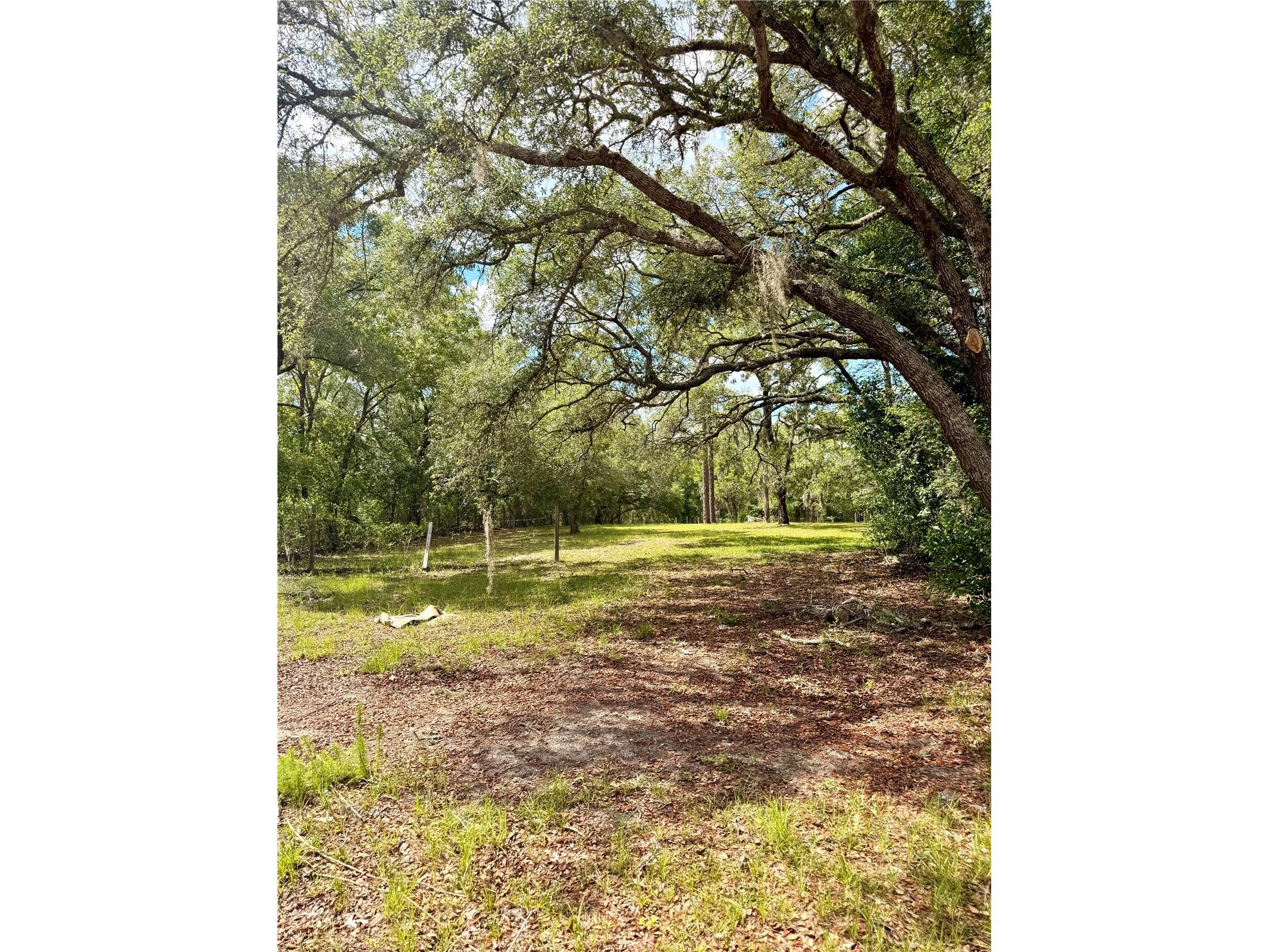 7561 SE 120th Court Morriston FL 32668 OM724829 image45