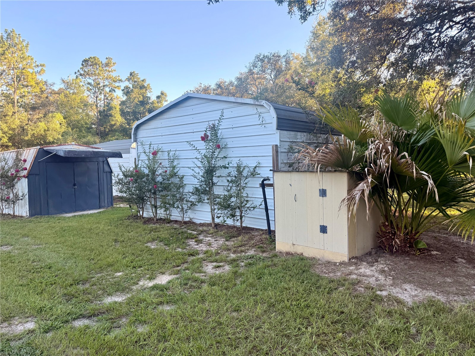 7561 SE 120th Court Morriston FL 32668 OM724829 image47