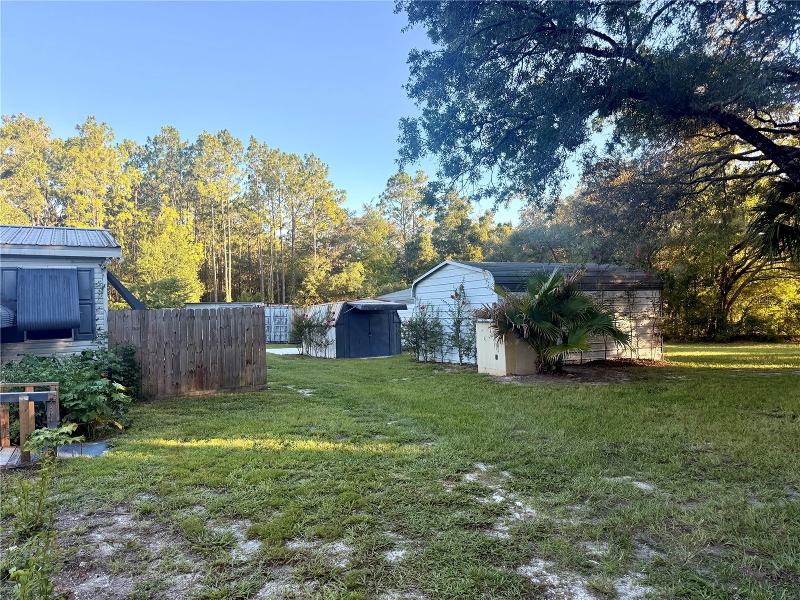 7561 SE 120th Court Morriston FL 32668 OM724829 image49