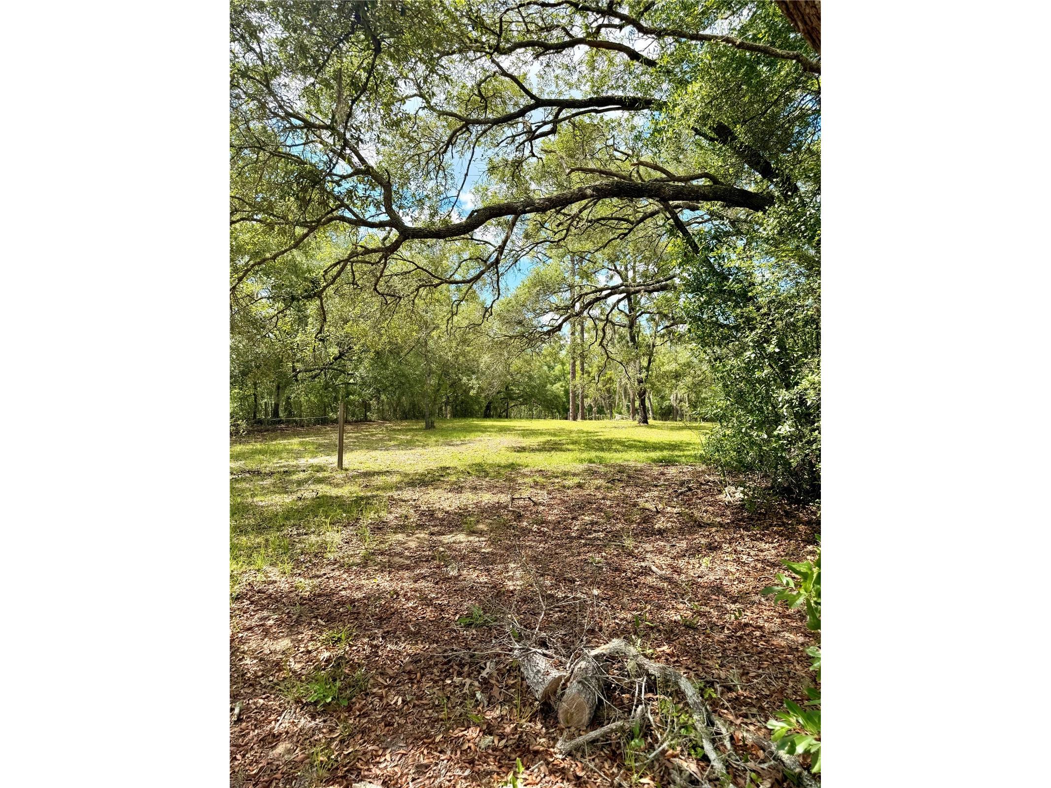 7561 SE 120th Court Morriston FL 32668 OM724829 image50