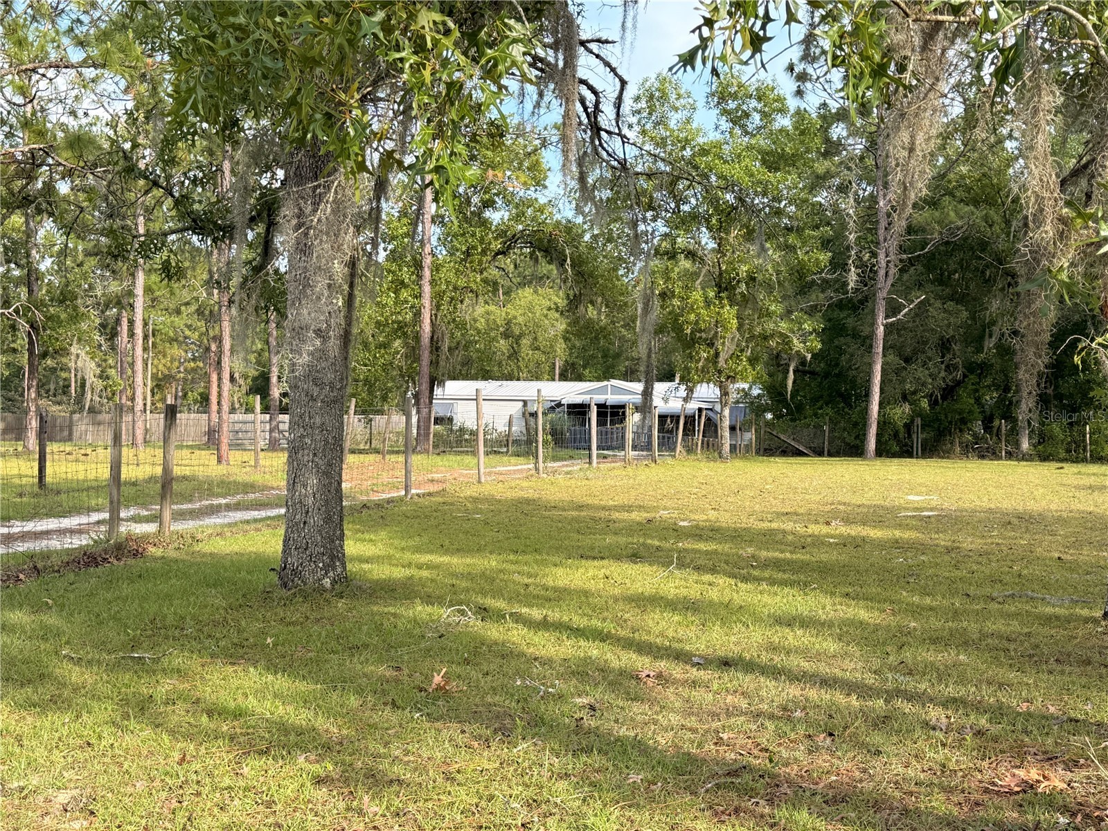 7561 SE 120th Court Morriston FL 32668 OM724829 image52