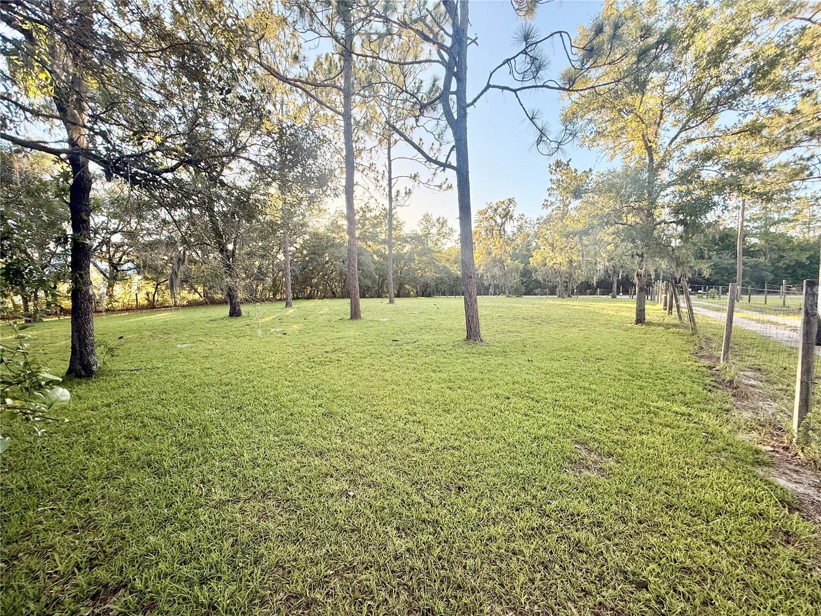 7561 SE 120th Court Morriston FL 32668 OM724829 image54