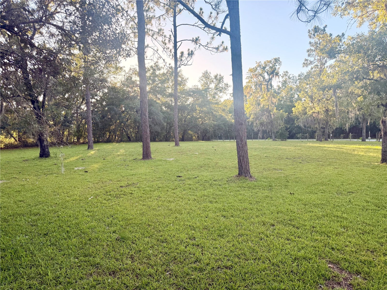 7561 SE 120th Court Morriston FL 32668 OM724829 image55