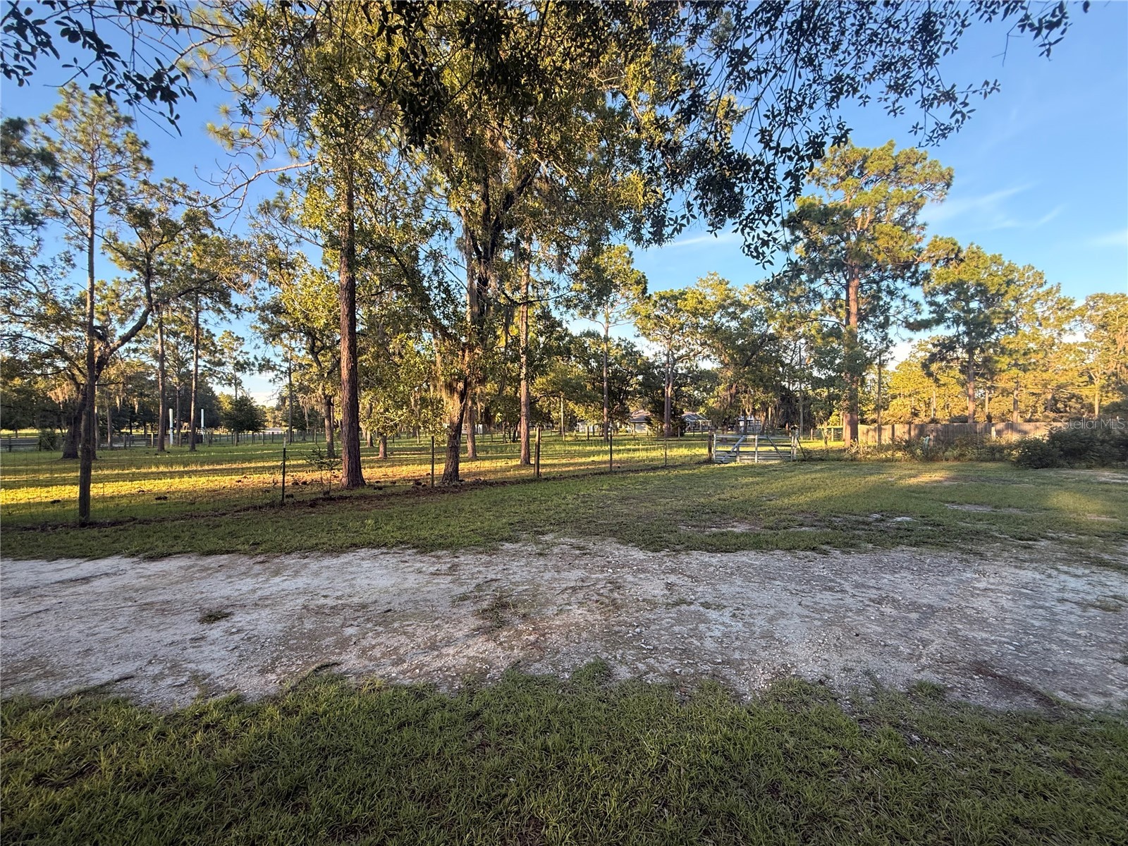 7561 SE 120th Court Morriston FL 32668 OM724829 image56