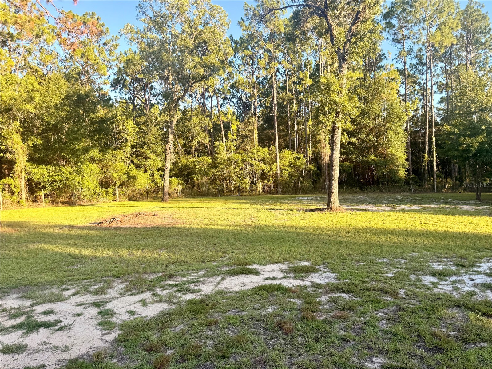 7561 SE 120th Court Morriston FL 32668 OM724829 image57
