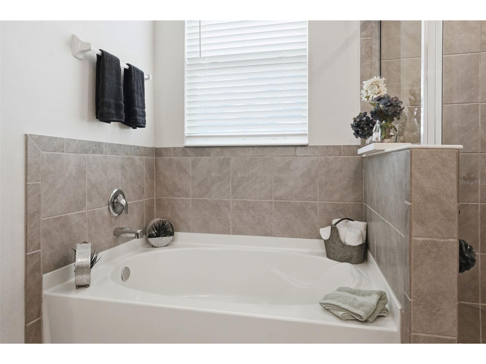 7562 Odessa Court Brooksville FL 34613 W7886209 image35