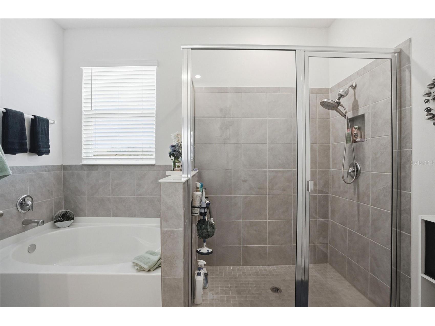 7562 Odessa Court Brooksville FL 34613 W7886209 image7