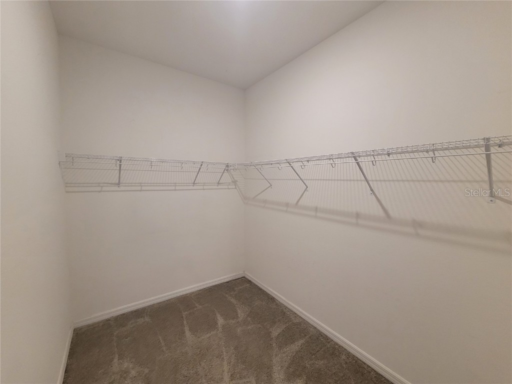 7563 Ashcroft Drive Wesley Chapel FL 33545 TB8394520 image14