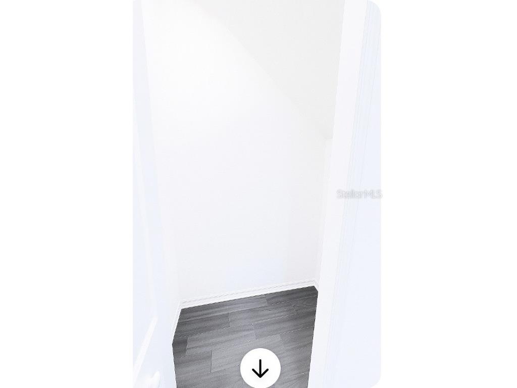 7563 Ashcroft Drive Wesley Chapel FL 33545 TB8394520 image7