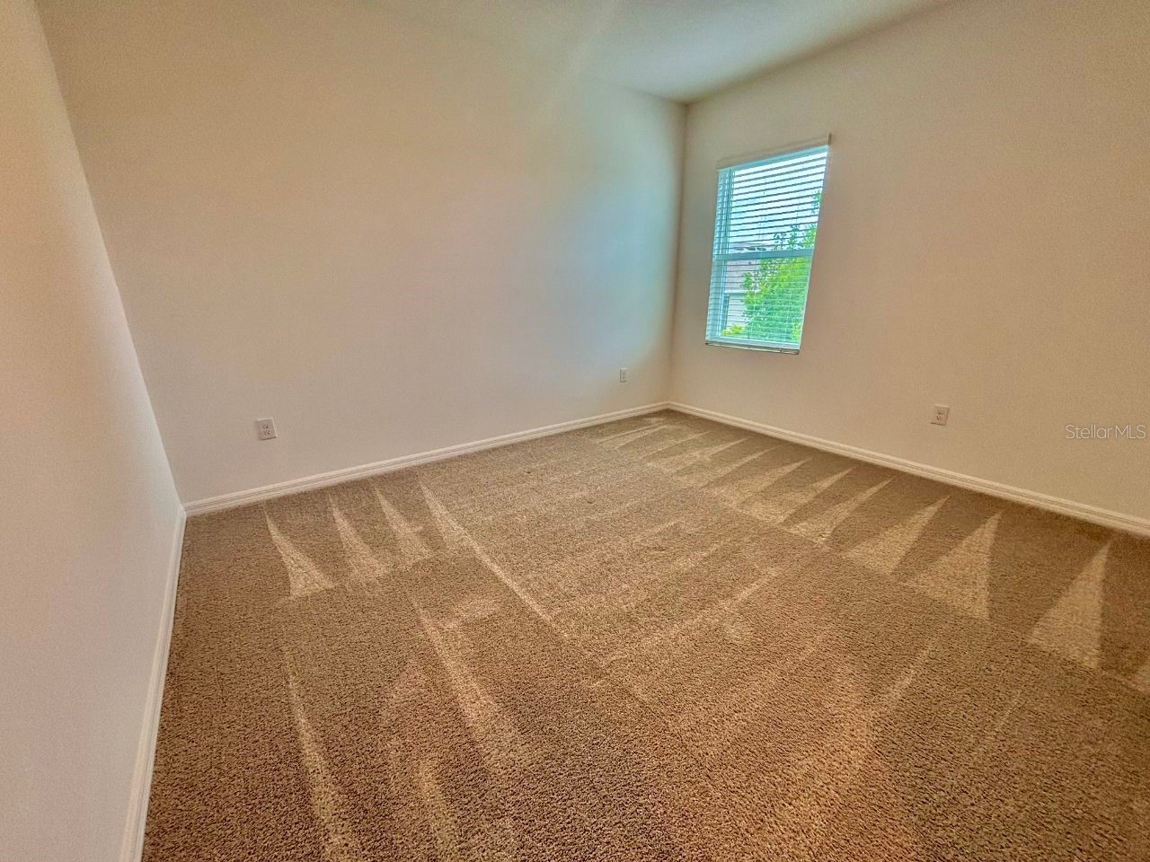 7563 Ashcroft Drive Wesley Chapel FL 33545 TB8515548 image16
