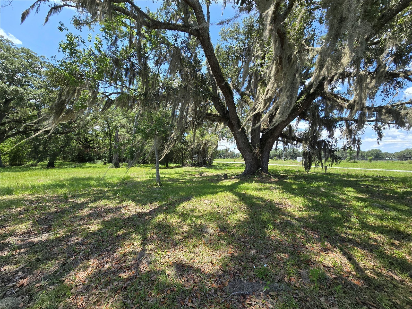 7563 SE County Road 405 Branford FL 32008 GC541349 image2