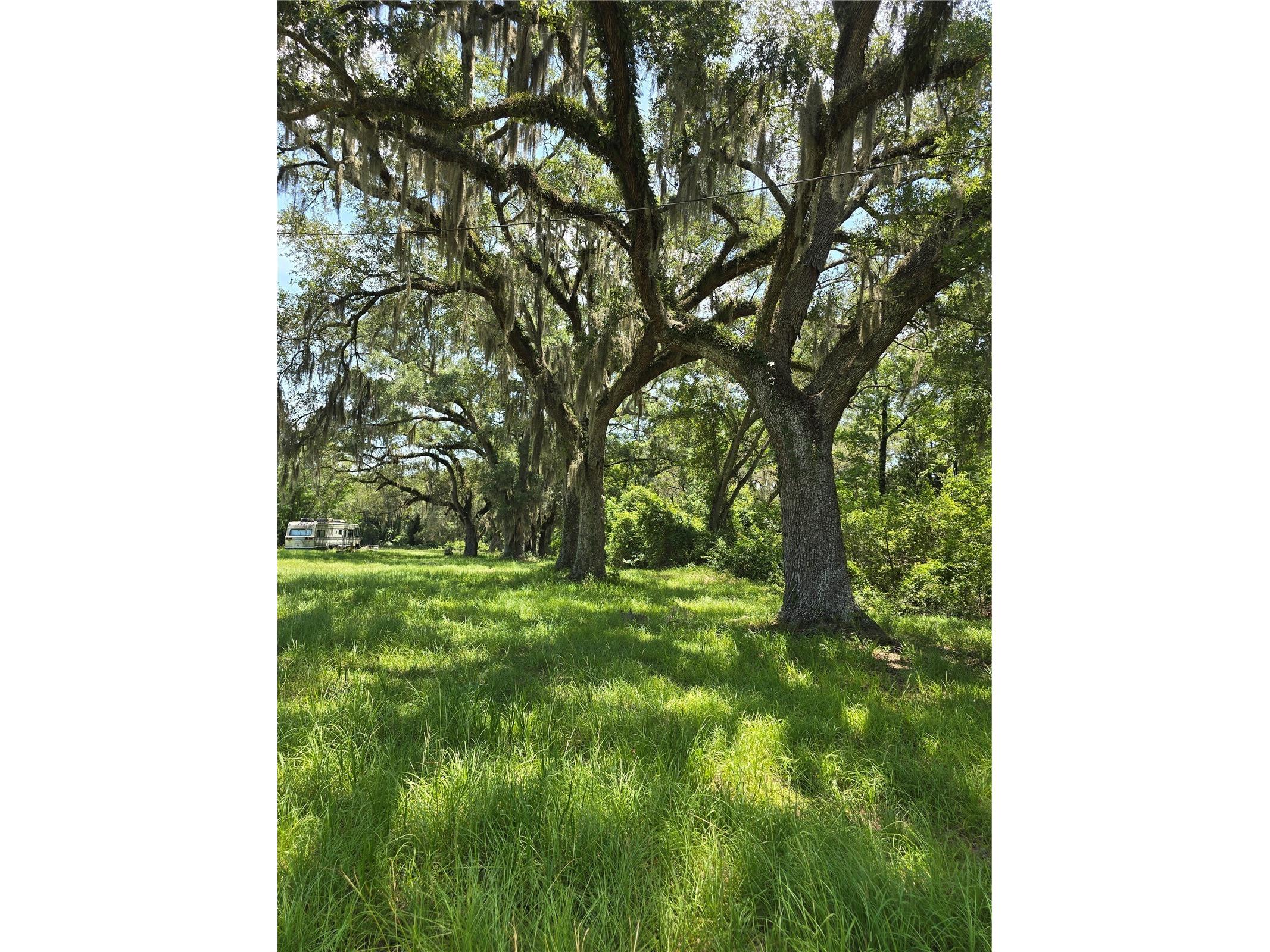 7563 SE County Road 405 Branford FL 32008 GC541349 image4